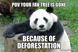 Confession Panda