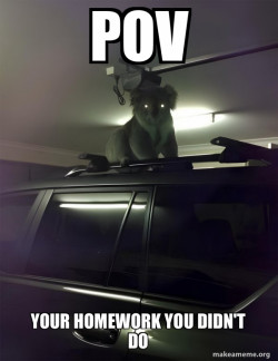 Drop Bear