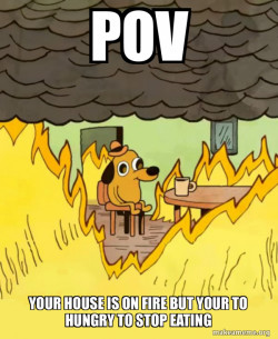 This Is Fine