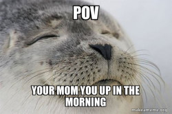 Satisfied Seal