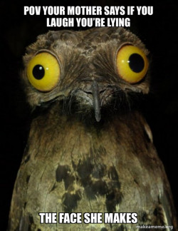 Weird Stuff I do Potoo