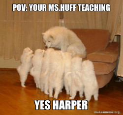 Storytelling Dog