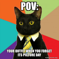 Business Cat