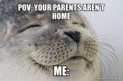 Satisfied Seal