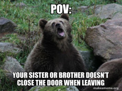 Sarcastic Bear