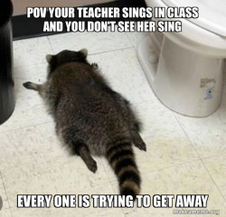 Drunk Raccoon