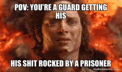 Frodo it's over it's done