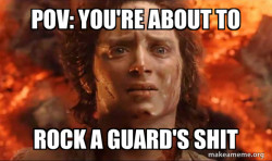Frodo it's over it's done