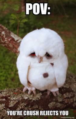Sad Owl