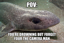 Dirty Joke Dogfish