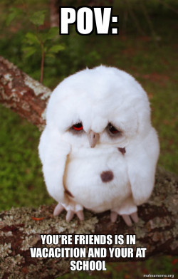 Sad Owl