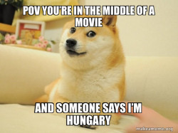 Doge