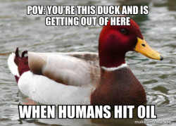 Malicious Advice Mallard