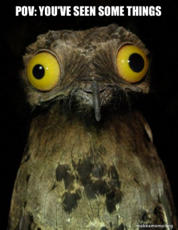 Weird Stuff I do Potoo