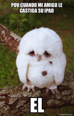 Sad Owl
