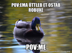 Zen Advice Mallard