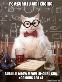 Chemistry Cat