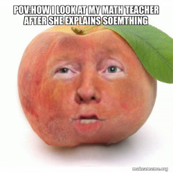 Impeached Donald Trump