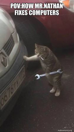 Mechanic Cat
