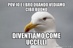 Ohoh gabbianooo