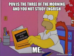 Internets Homer