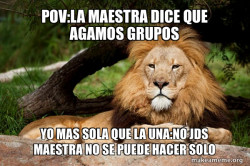 Contemplative Lion