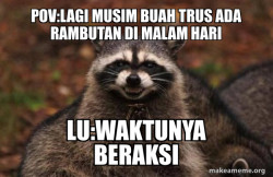 Evil Plotting Raccoon