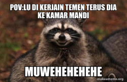 Evil Plotting Raccoon