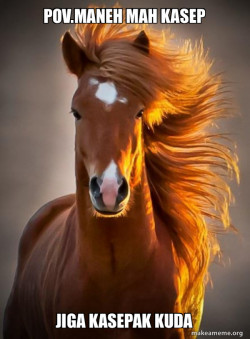 Ridiculously photogenic horse
