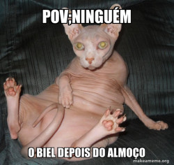 Hairless Cat