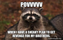 Evil Plotting Raccoon
