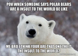 Popular Opinion Polar Bear