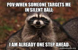 Evil Plotting Raccoon