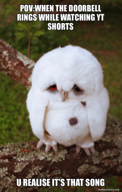 Sad Owl