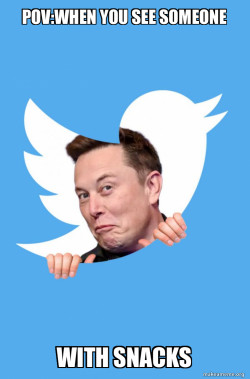 Elon Musk Twitter