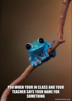 Small Fact Frog