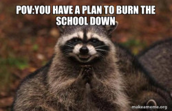 Evil Plotting Raccoon