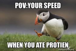 Unpopular Opinion Puffin