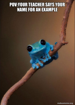 Small Fact Frog