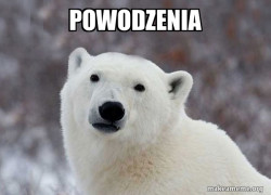 Popular Opinion Polar Bear