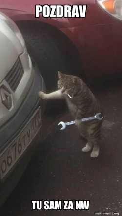 Mechanic Cat