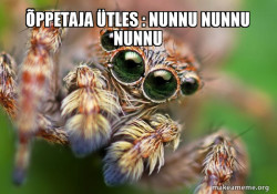 Hipster Spider
