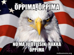 Kotkas