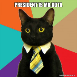 Business Cat