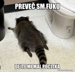 Drunk Raccoon