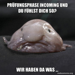 Blobfish