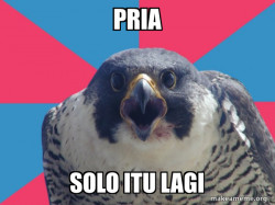 Millennial Falcon