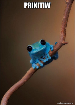 Small Fact Frog