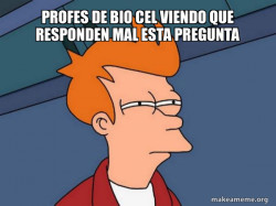 Futurama Fry