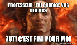 Frodo it's over it's done